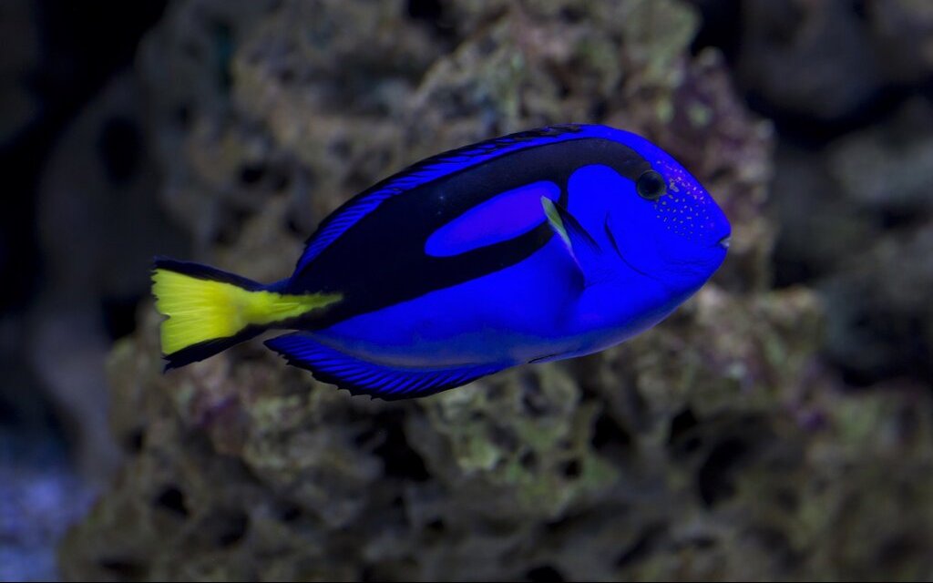 Erlebnispark Meeresaquarium Zella-Mehlis