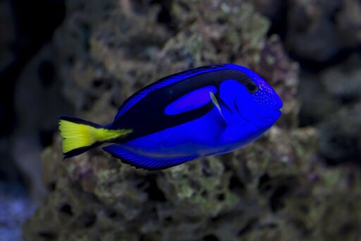 Erlebnispark Meeresaquarium Zella-Mehlis