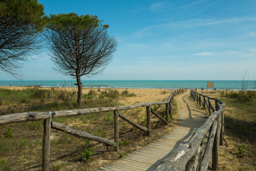 Bibione