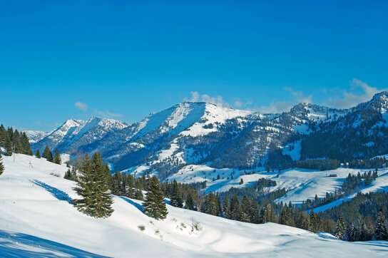 Aussicht@Oberstaufen Tourismus