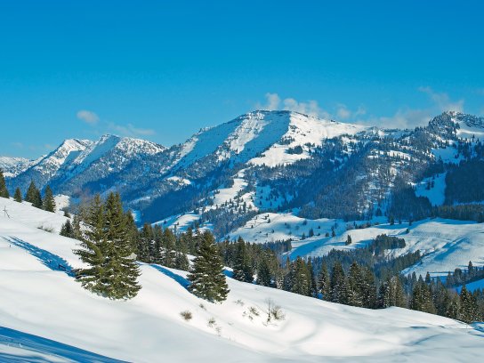 Aussicht@Oberstaufen Tourismus