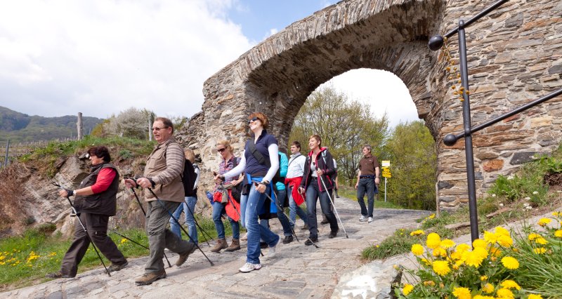 Wanderer im Frühling