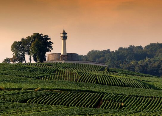 Phare---Verzenay-E.Goulet-Coll.ADT-Marne