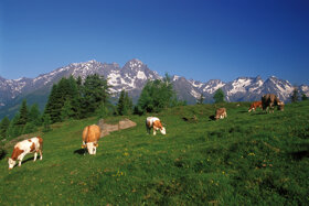 LANDSCHAFTSBILD Moaralm Nationalpark Hohe Tauern c Kärnten Werbung Zupanc