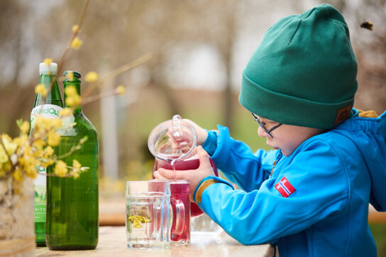 2024 (c) Mostviertel Tourismus Rupert Pessl Dirndlblütenwanderung