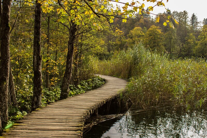 Wanderweg im Nationalpark Plitvicer Seen