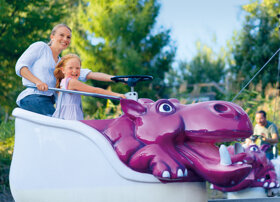 Nilpferd in der Wasserbahn