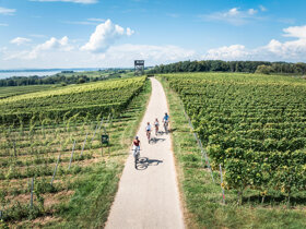 dbt 03.09.2024 fs24-354