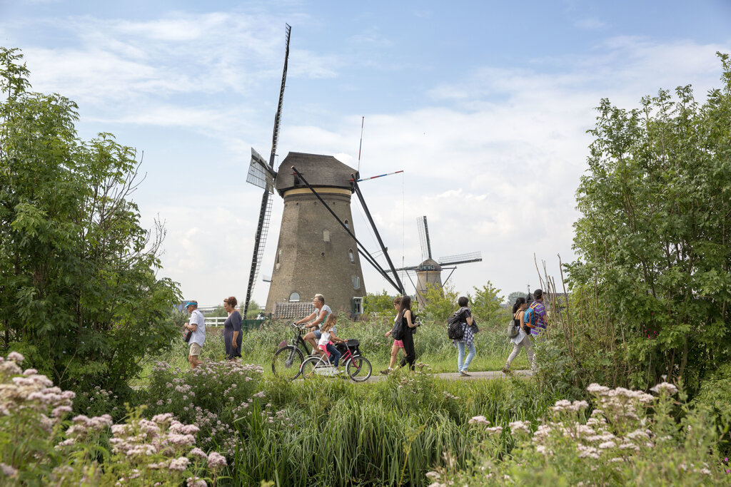 Windmühle in Ridderkerk inmitten vom Grün