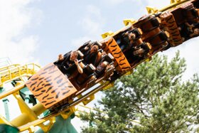 Mädchen im Streichelzoo (12)