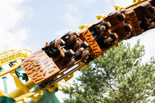 Mädchen im Streichelzoo (12)