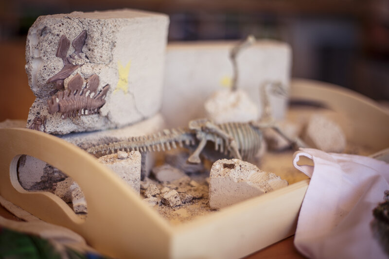 Dinosaurier-Fossile im Dinosaurier Museum Altmühltal