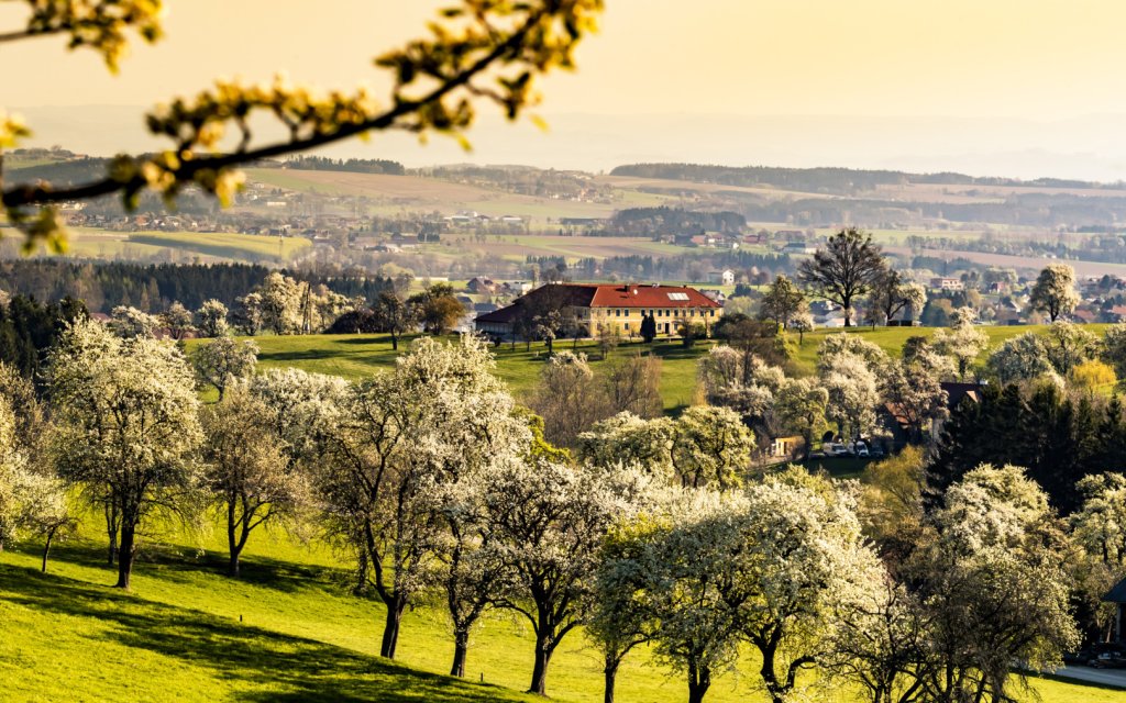 Amstetten