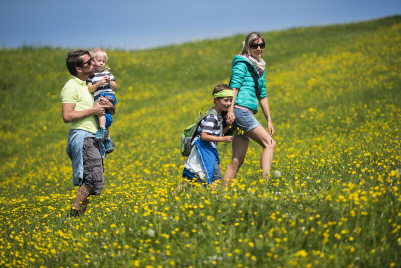 Familie auf einer Wiese