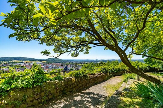 Aussicht Park 1