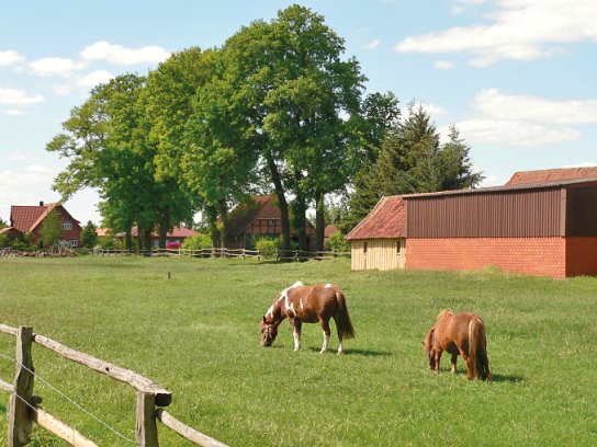 Essel Pferde c AxelHH, Wikimedia