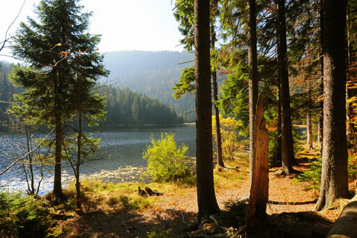 Großer & Kleiner Arbersee