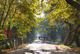 Blick-auf-die-Promenade