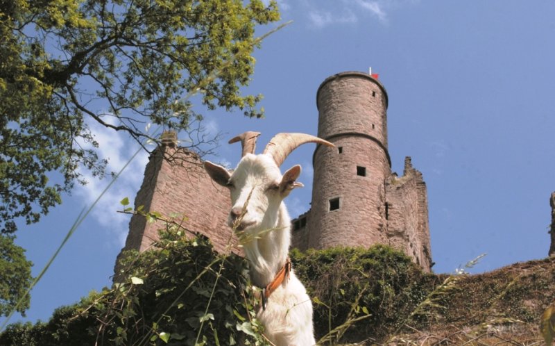 Burg Hanstein Außenansicht