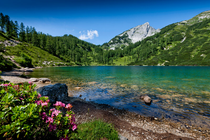 Steirersee auf der Tauplitzalm – glasklares Wasser auf 1.700 Metern Höhe