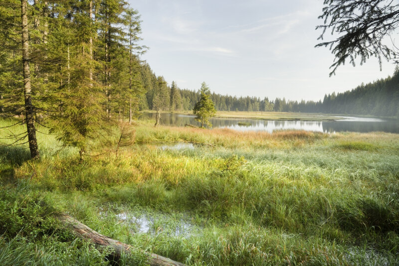 Landschaft im Nationalpark