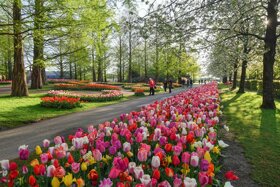 Keukenhof Park 2