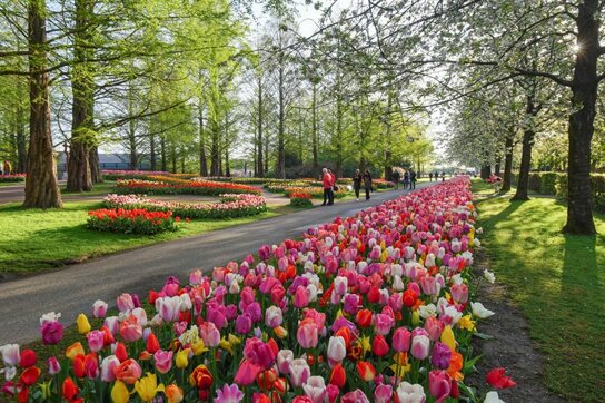 Keukenhof Park 2