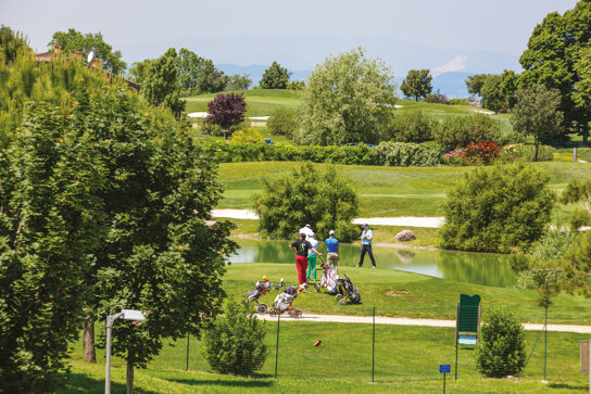 AAGCParadiso ProAm15 big