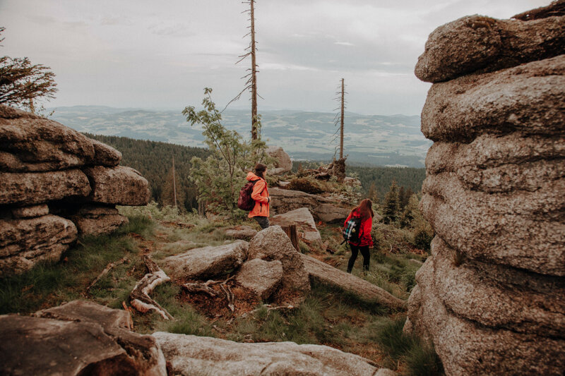 Wandern am Dreisessel 