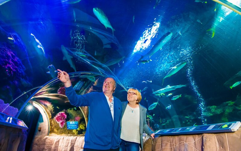 Besucher im SEA LIFE München