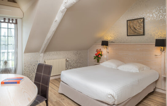 Chambre Confort Domaine du Limonay (1)