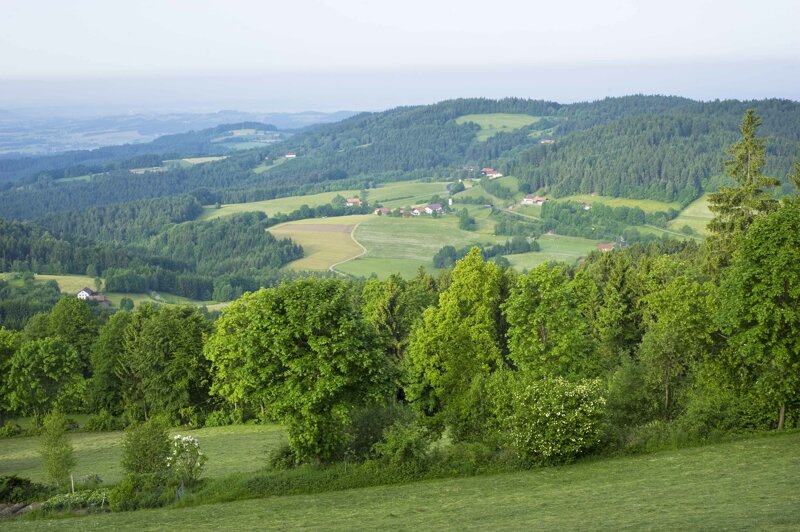 Bayerischer Wald © Ostbayern Tourismus / Fotograf Andreas