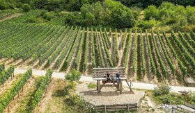 Baumelbank Piesport 1