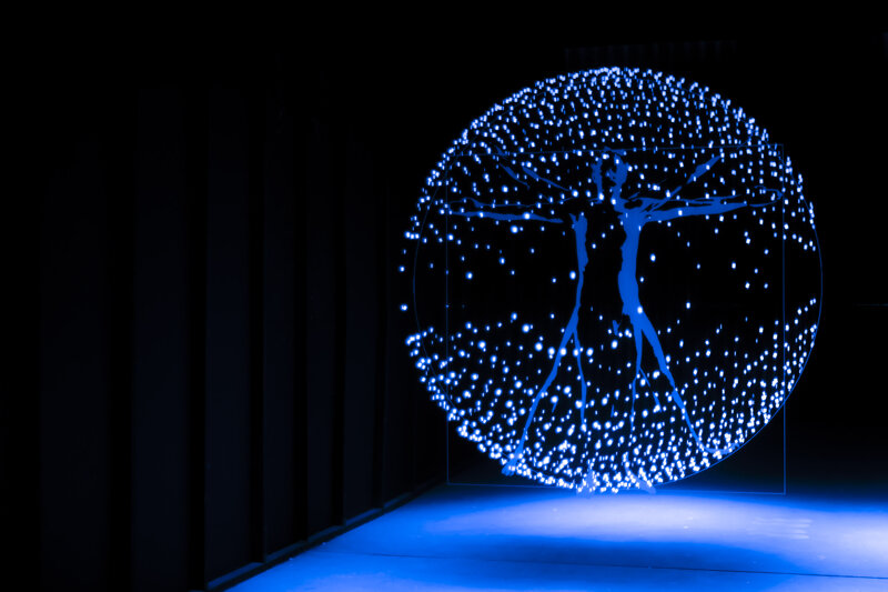 vitruvianischen Mensch in 3D