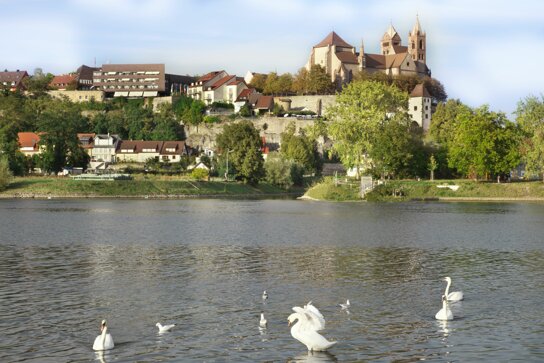 Blick über den Rhein zum St. Stephansmünster C Breisach-Touristik