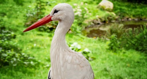 Storchendorf - Rühstädt