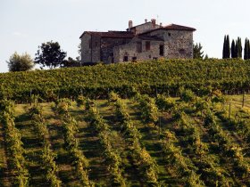 Casolari e viti ohne c Turismo Toscana