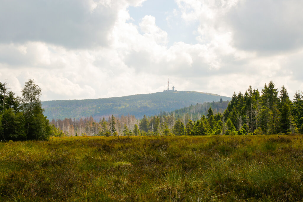Blick auf den Brocken