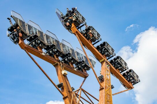 Mädchen im Streichelzoo (13)