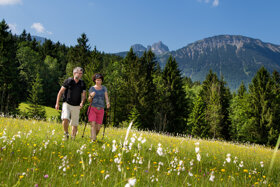 Wandern durch Bergwiesen Pfronten Allgaeu C Pfronten Tourismus