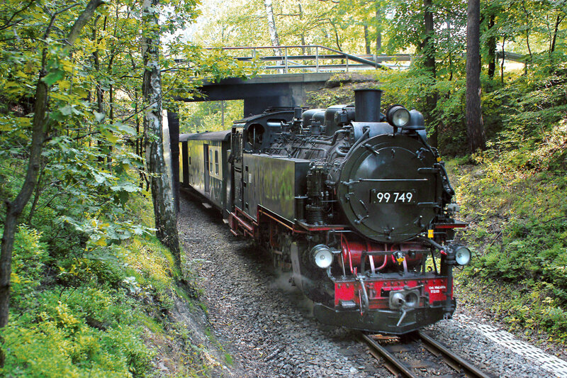 Zittauer Schmalspurbahn im Wald