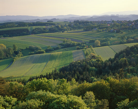 Mittelburgenland