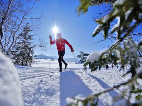Langlauf Winter © Oberstaufen Tourismus