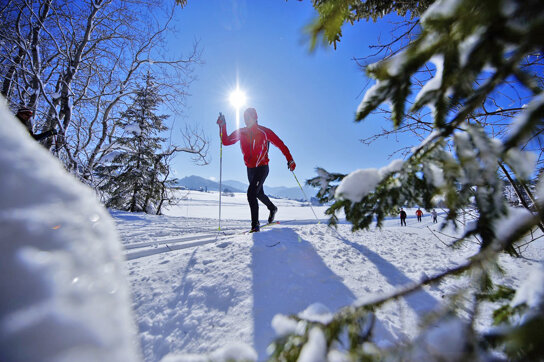Langlauf Winter © Oberstaufen Tourismus