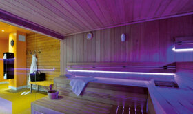Sauna (2)