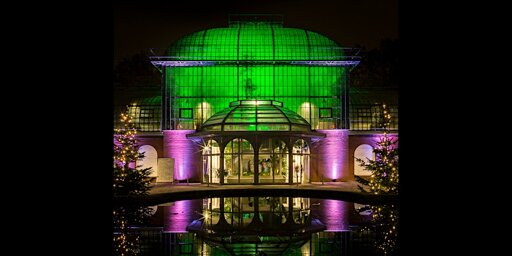 Winterlichter im Palmengarten
