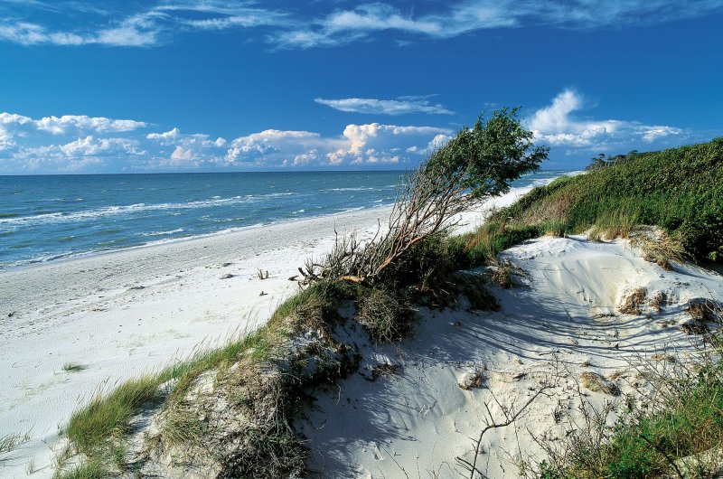 Düne am Darßer Weststrand auf der Insel Hiddensee