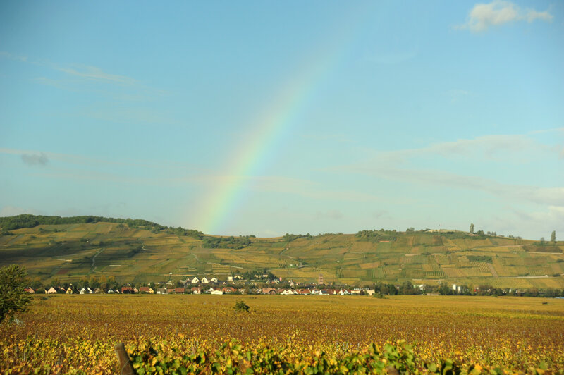 Elsässische Weinstraße – Weinberge und Fachwerkdörfer im Elsass