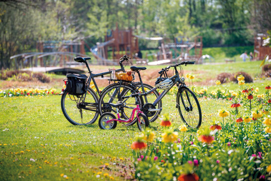 Fahrrad C Stadtverwaltung Hockenheim, Schwerdt
