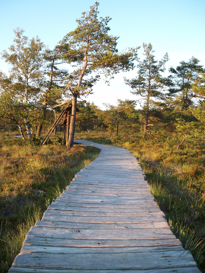 Das Schwarze Moor in der Rhön – Sehenswürdigkeit in der Nähe von Noahs Segel